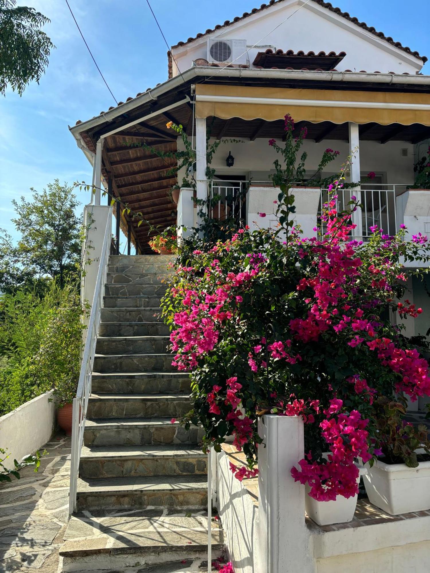 Marias Apartments Vasilika  Luaran gambar